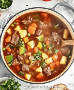 Vegetable Beef Soup Recipe