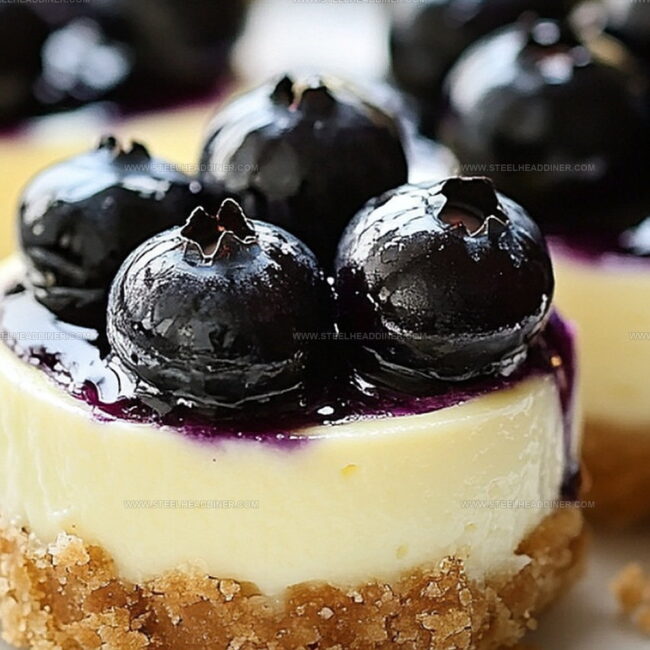Mini Lemon Blueberry Cheesecakes - Perfectly Portable Treats