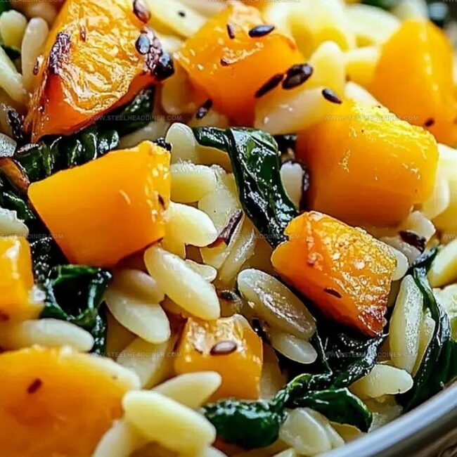 What Makes Orzo With Butternut Squash Special