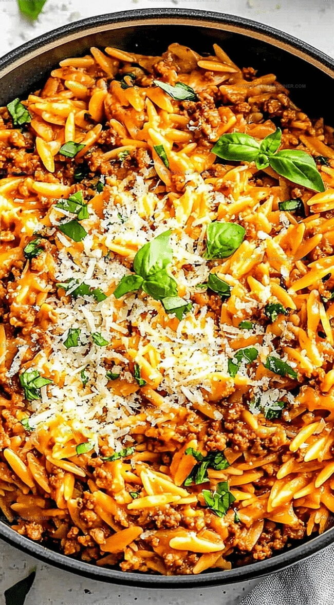 Helpful Notes for Creamy Ground Beef Orzo