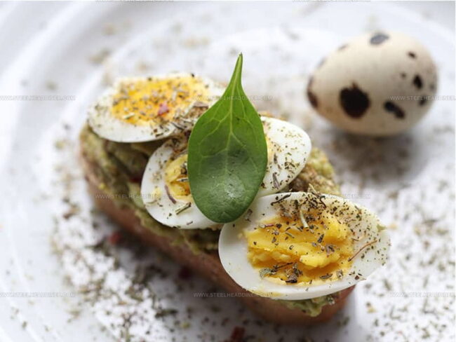 Quail Egg: Wellness Advantages