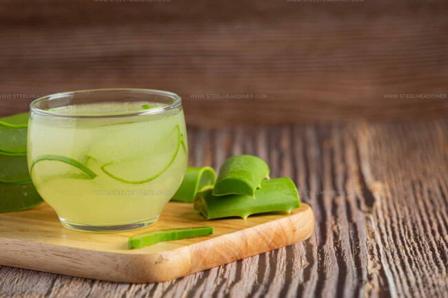 Aloe Vera Plant: Introduction