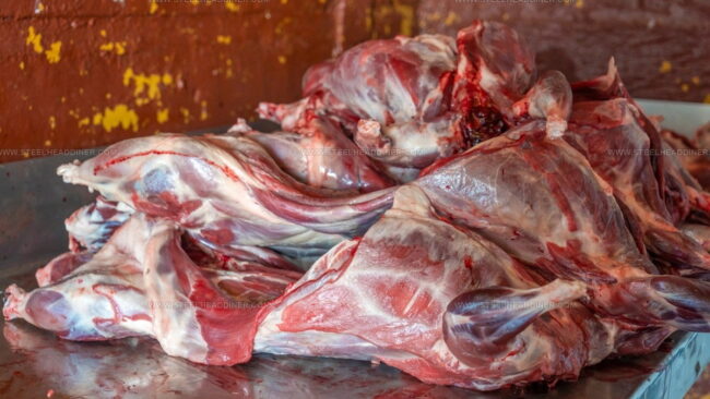 Beaver Meat: Nutrition Facts