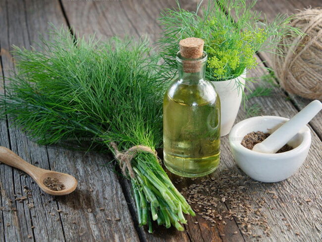 Flavors That Match Dill