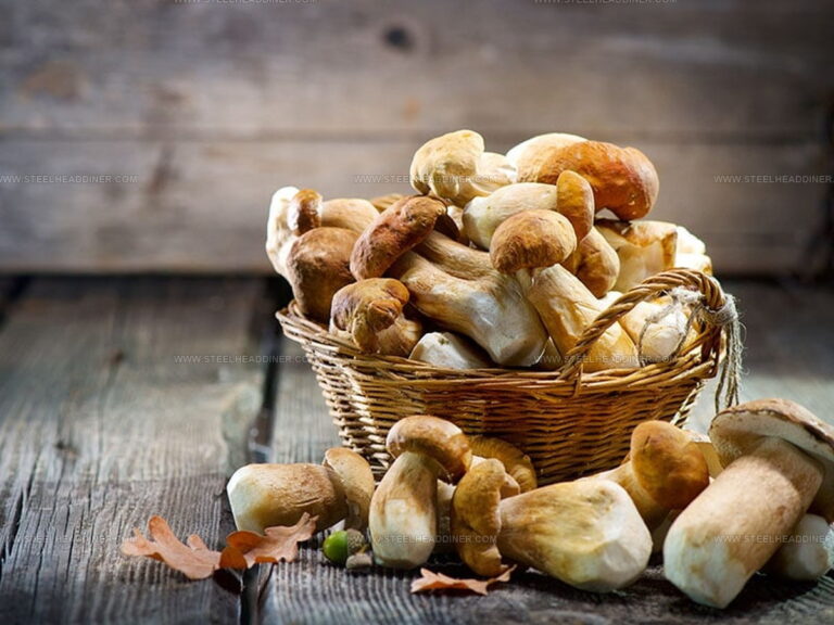 Dried or Fresh Mushrooms: The Ultimate Flavor Test