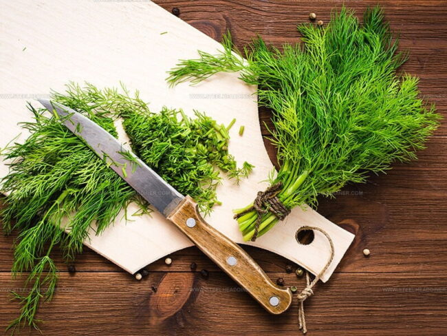 Dill: Basic Information
