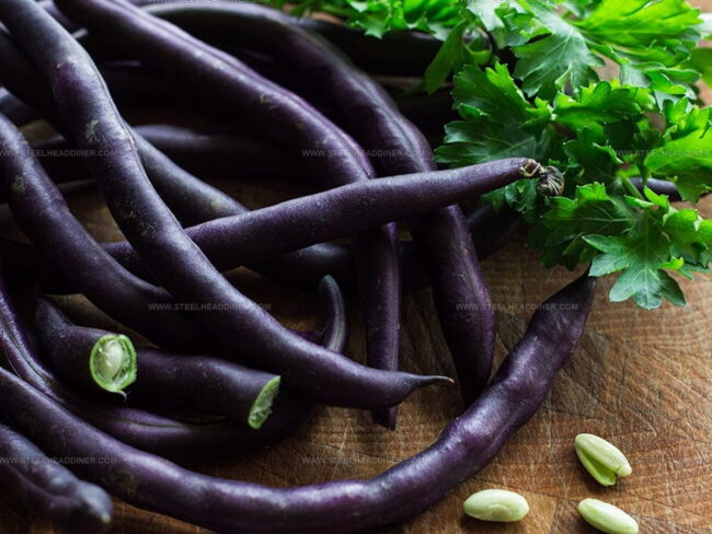 Purple String Beans Overview