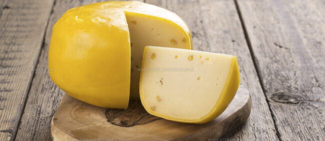 Gouda Holland