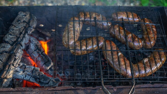 Ways To Cook With Beaver Meat