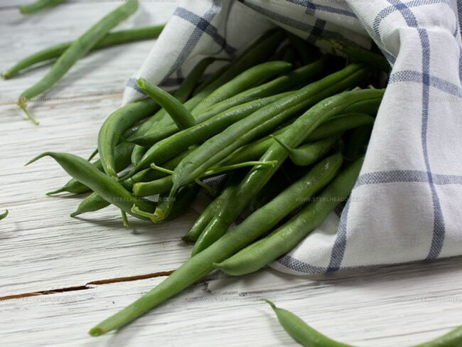 Haricot Verts