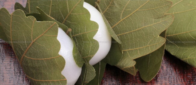 Kashiwa-Mochi